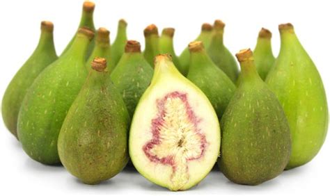 Brevas Figs Information and Facts