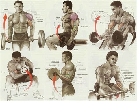 Blast biceps. | Biceps workout, Gym workout chart, Gym workouts