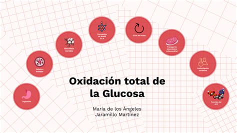 ESQUEMA 2: Oxidación total de la glucosa by Maria de los Angeles Jaramillo Martinez on Prezi