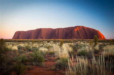 Premium Photo | Uluru at sunrise