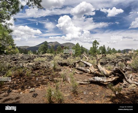 Sunset Crater Volcano National Monument lava flow, Arizona Stock Photo ...