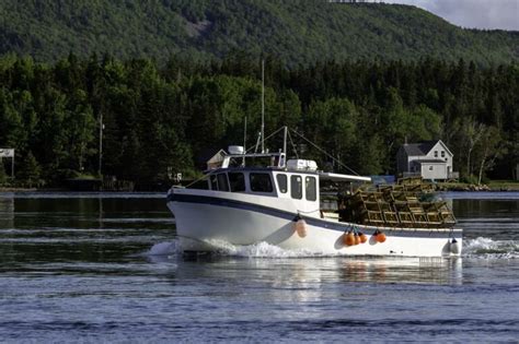 Maine Lobster Boat Tour - Experience the Lobsterman's Life