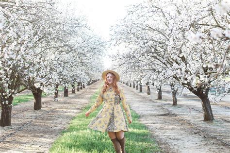 Best Almond Blossoms in California