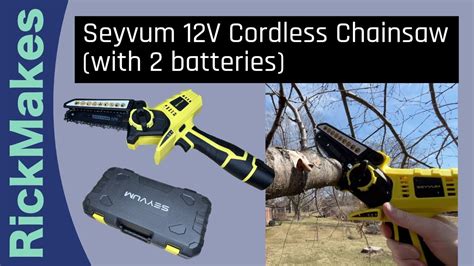 Seyvum 12V Cordless Chainsaw (with 2 batteries) - YouTube