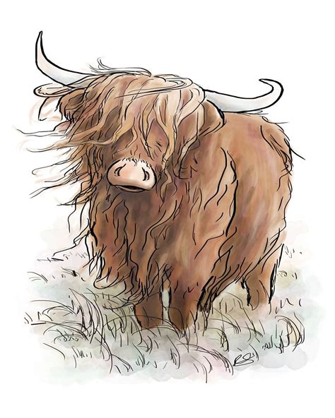 Moody Highland Cow illustration on a windswept Scottish moor ...