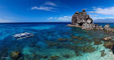 Apo Island Snorkeling Tour from Dumaguete - Klook Philippines