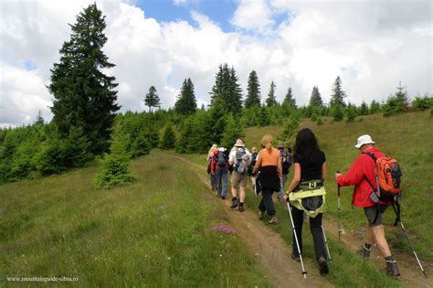 Around Păltiniș - Site-ul oficial al județului Sibiu