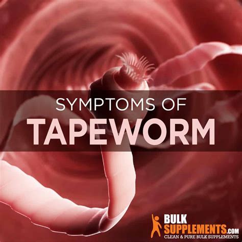 Underrated Ideas Of Info About How To Cure A Tapeworm - Postmary11