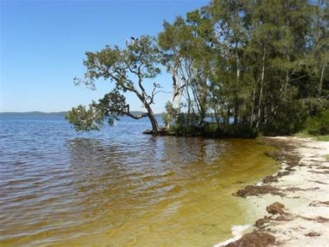 Myall Lake - Picture of Myall Lakes National Park, New South Wales - TripAdvisor