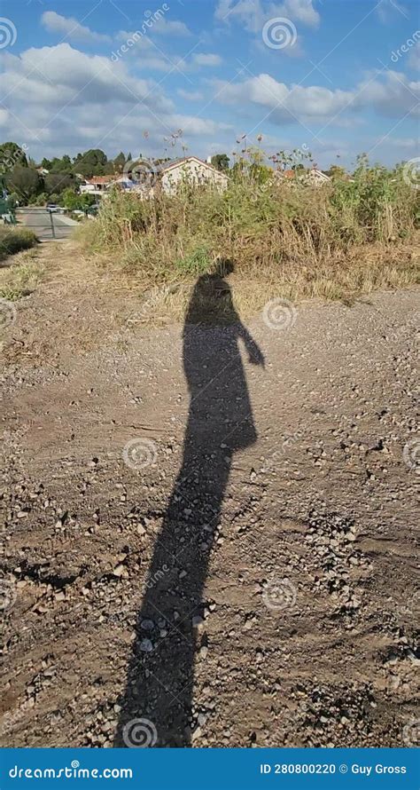 Shadow of Person Walking in the Field Stock Footage - Video of adults, walking: 280800220