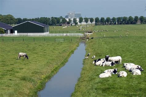 Beemster Polder UNESCO World Heritage Site, Netherlands | World heritage sites, Unesco world ...