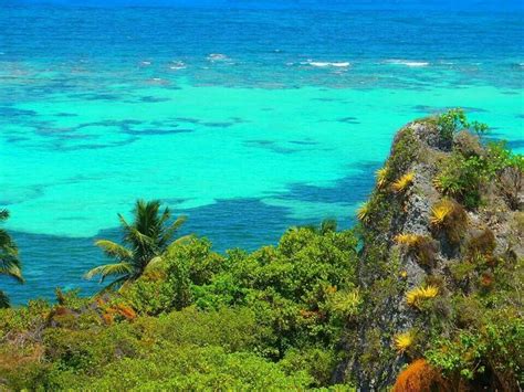 Playa Sardinera, Isla de Mona, Puerto Rico. Beautiful beaches ...