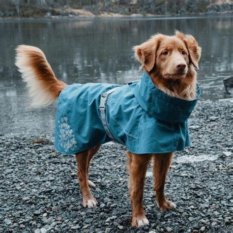 Hurtta Monsoon Raincoat - Canada K9