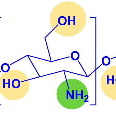 Hydrogen bond between water molecules and hydroxyl groups of cellulose ...