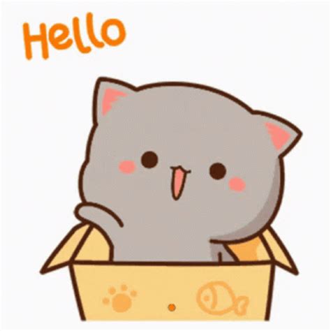 Hello Cute GIF - Hello Cute Cat - Discover & Share GIFs