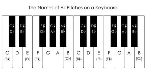 Piano keyboard with the names of all notes | Piano, Piano music, Learn piano