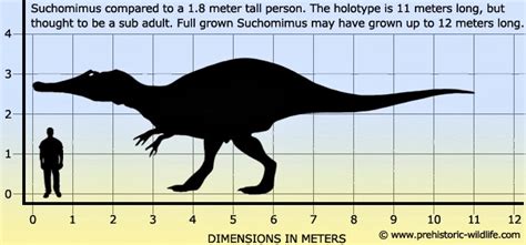 O Livro da Natureza: Suchomimus