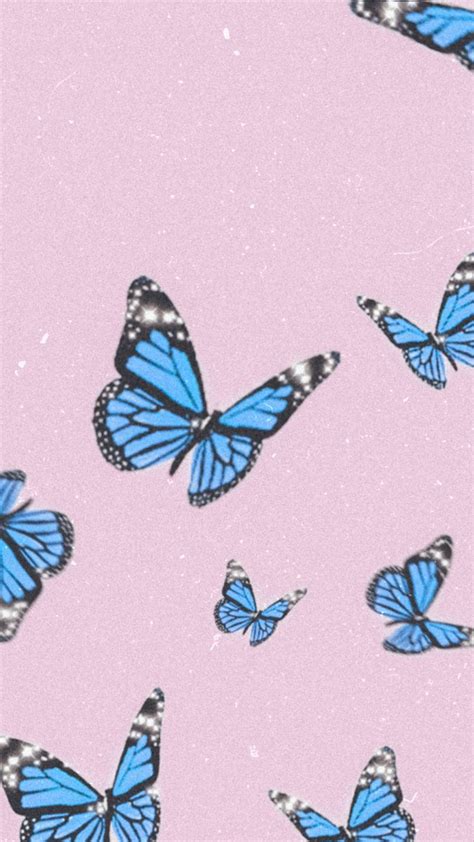 blue butterfly wallpaper 🦋 | Butterfly wallpaper, Blue butterfly wallpaper, Butterfly wallpaper ...