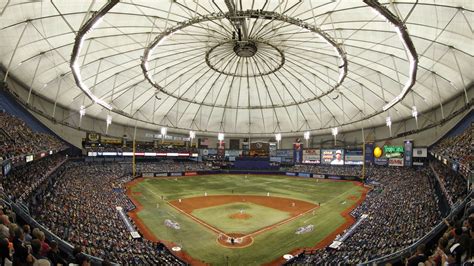 The Rays are very excited about their new stadium - SBNation.com