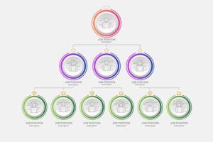 Organizational Patterns - Definition, Meaning And Types