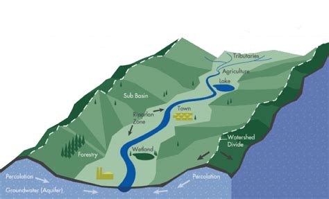 What Is A Watershed? | The Bibb Voice