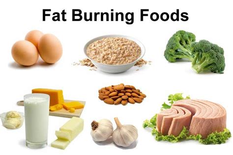 How To Burn Fat With Your Diet? My Body Expert