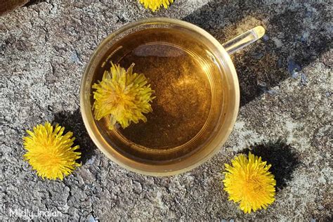 Dandelion tea with fresh flowers – Mildly Indian