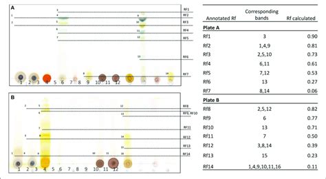 | Thin-layer chromatography and calculated retention factor (Rf) values... | Download Scientific ...