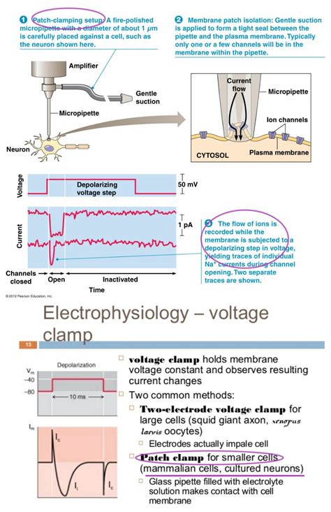 the diagram shows different types of electrical devices and how they are used to operate them