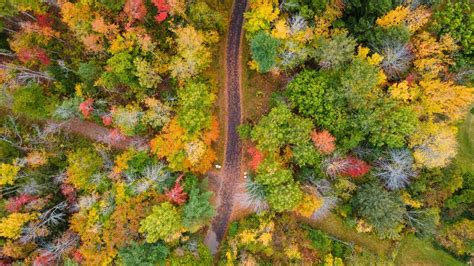 Maine Fall Foliage- 13 Spots to Enjoy Fall Colors in Maine