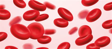 The Importance of Hemoglobin in Women's Health : HemoCue America