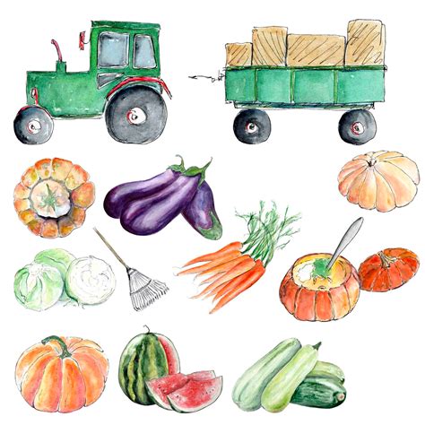 Fall Harvest Watercolor Clipart, Hand Drawn Harvest Image, Happy Thanksgiving Clipart, Fall ...