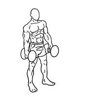Dumbbell Lunges Walking