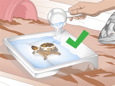 How to Create an Indoor Box Turtle Habitat (with Pictures)