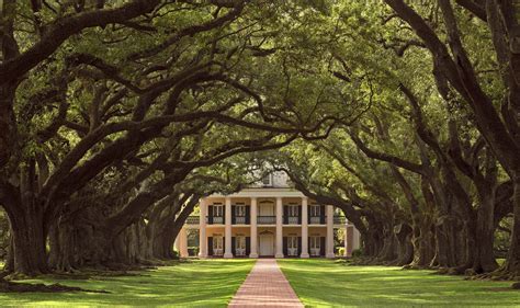 Robles de 300 años Plantación Oak Alley Louisiana #naturaleza http ...