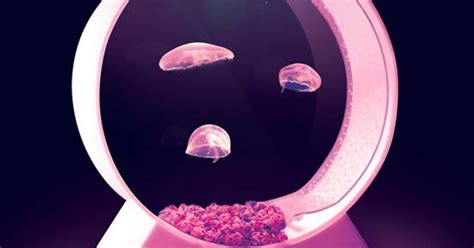 New aquarium designed to put jellyfish on your desk