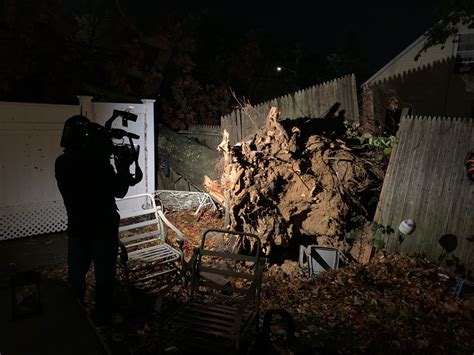 Trees toppled by Saturday's gusty storm leave damage across Long Island