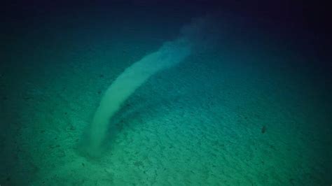 See a wild underwater 'benthic tornado' whirl across the sea floor - CNET