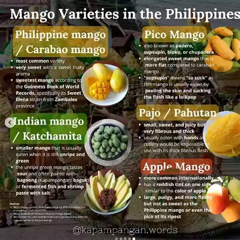 Mango Varieties In The Philippines - The Philippines Today