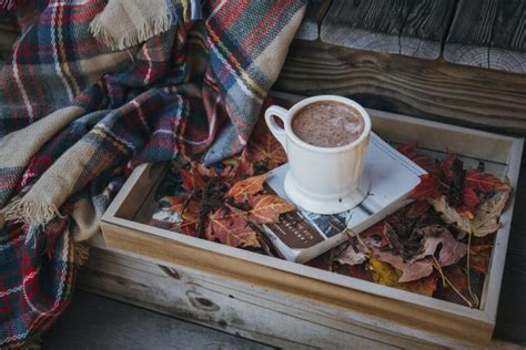 The Best Mushroom Hot Chocolate Recipe! | ForagingGuru