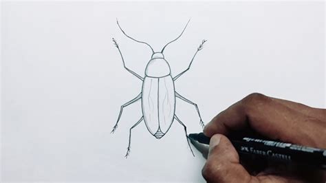 Top 74+ sketch of cockroach latest - seven.edu.vn