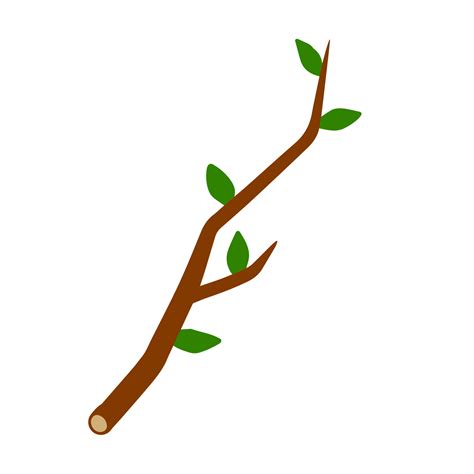 Tree branch with leaf on white background illustration. Plant Element of wood and nature. Flat ...