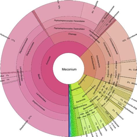 Taxonomic composition of bacterial EVs in the first-pass meconium of... | Download Scientific ...