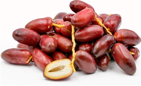 Zaghloul Dates Information and Facts