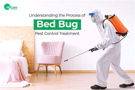 Bed Bug Pest Control: Understanding the Treatment Process | HiCare