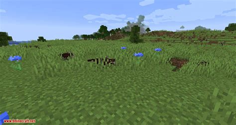 Wyrmroost Mod (1.16.5, 1.15.2) - Dragons and Dinosaurs - Mc-Mod.Net