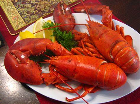 Recipes from 4EveryKitchen: Steamed Nova Scotia Lobster