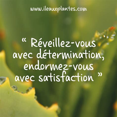 [324] Citation Positive Du Jour