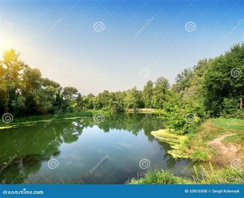 Calm river stock photo. Image of nonurban, forest, pond - 33810308