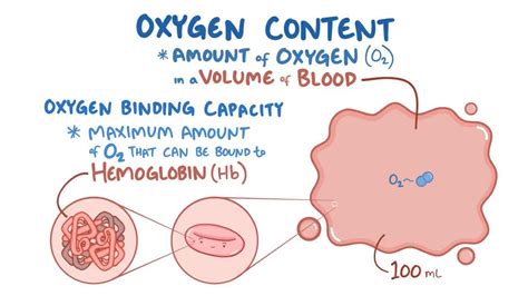 Oxygen binding capacity and oxygen content: Video | Osmosis